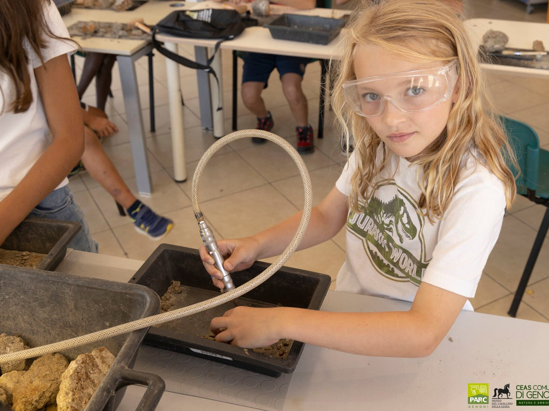 Museo Parc - Museo Paleontologico, Archeologico e Laboratorio didattico-Genoni必去景点