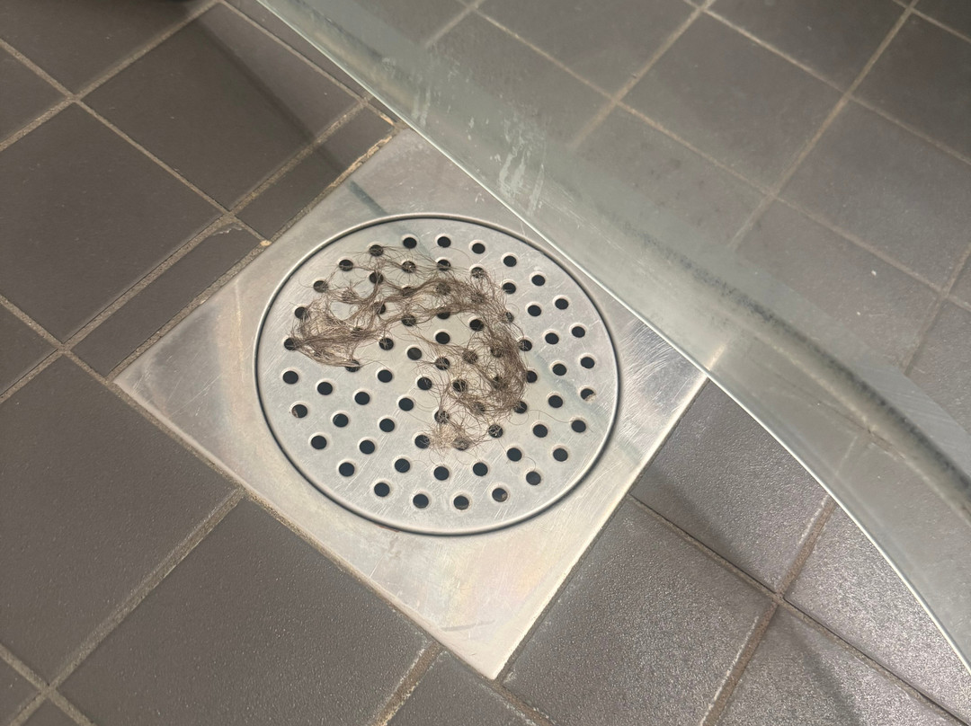 Good Morning+ Malmo主图