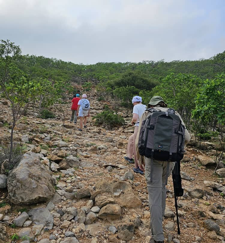 Socotra Biosphere Tours-Hadiboh必去景点