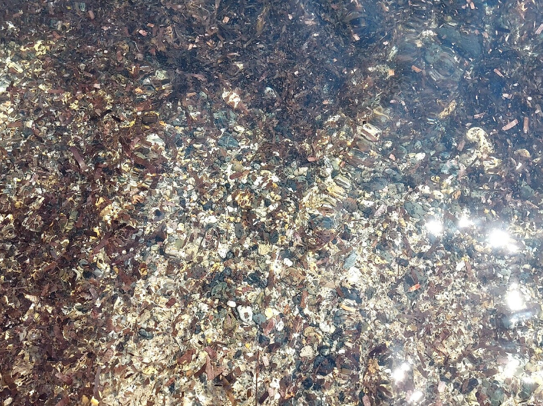 Spiaggia di Nora-普拉必去景点
