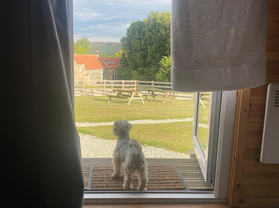 The Fox & Hounds主图