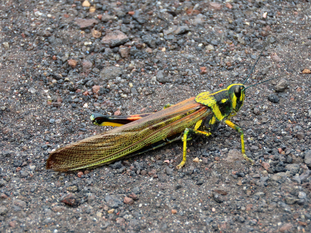 The Wall of Tears-维里亚米尔港必去景点