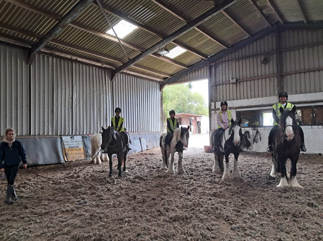 Orchard Farm Equestrian-斯凯格内斯必去景点