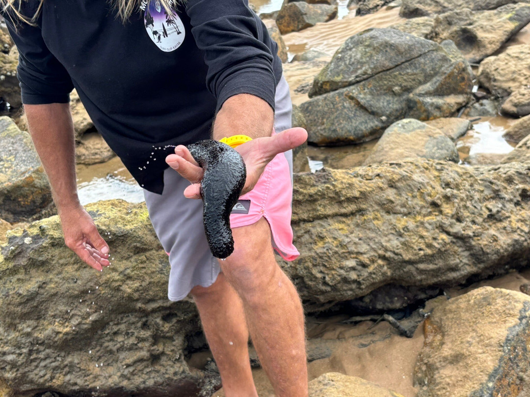 Moondoggie Beach & Bush Tours-Agnes Water必去景点