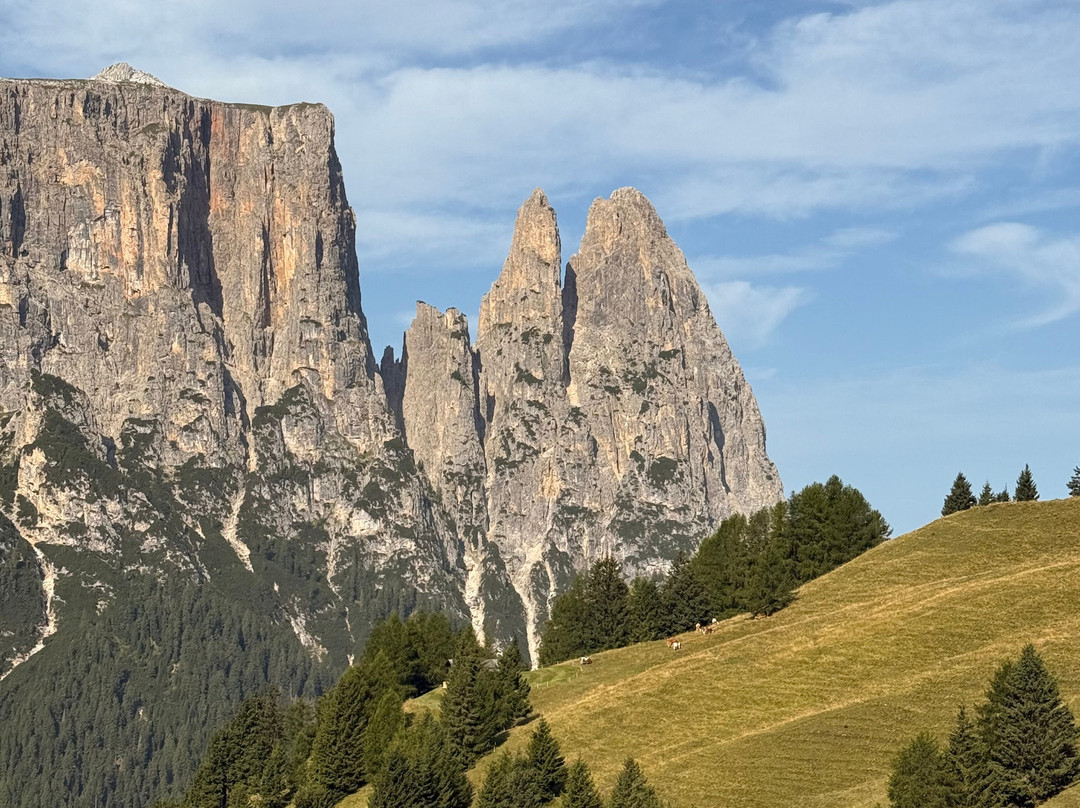 Hotel Chalet Dolomites主图