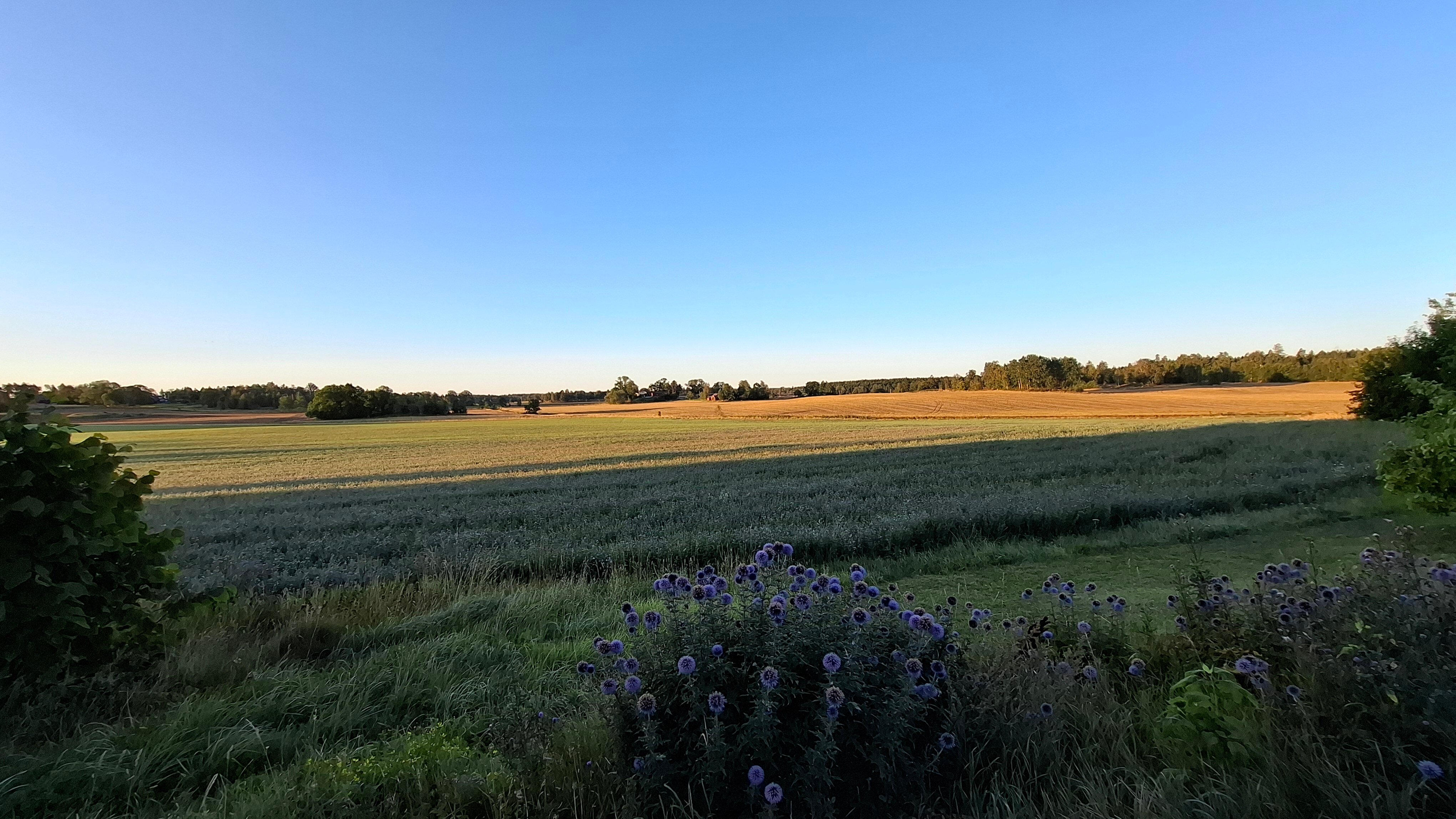 Klefstad Gård-官方