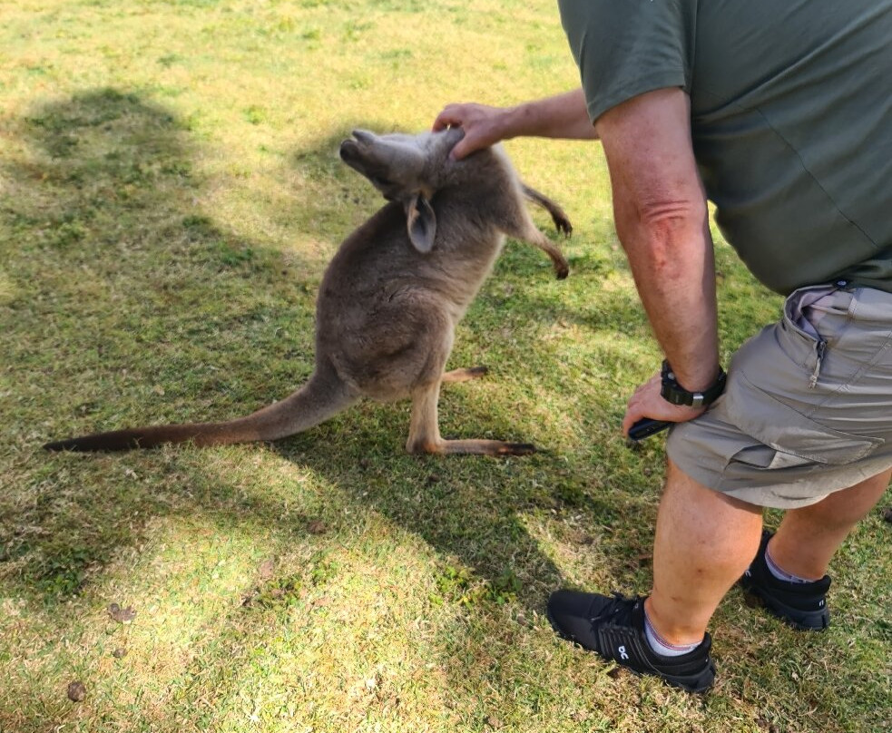 Snakes Downunder Reptile Park-Childers必去景点