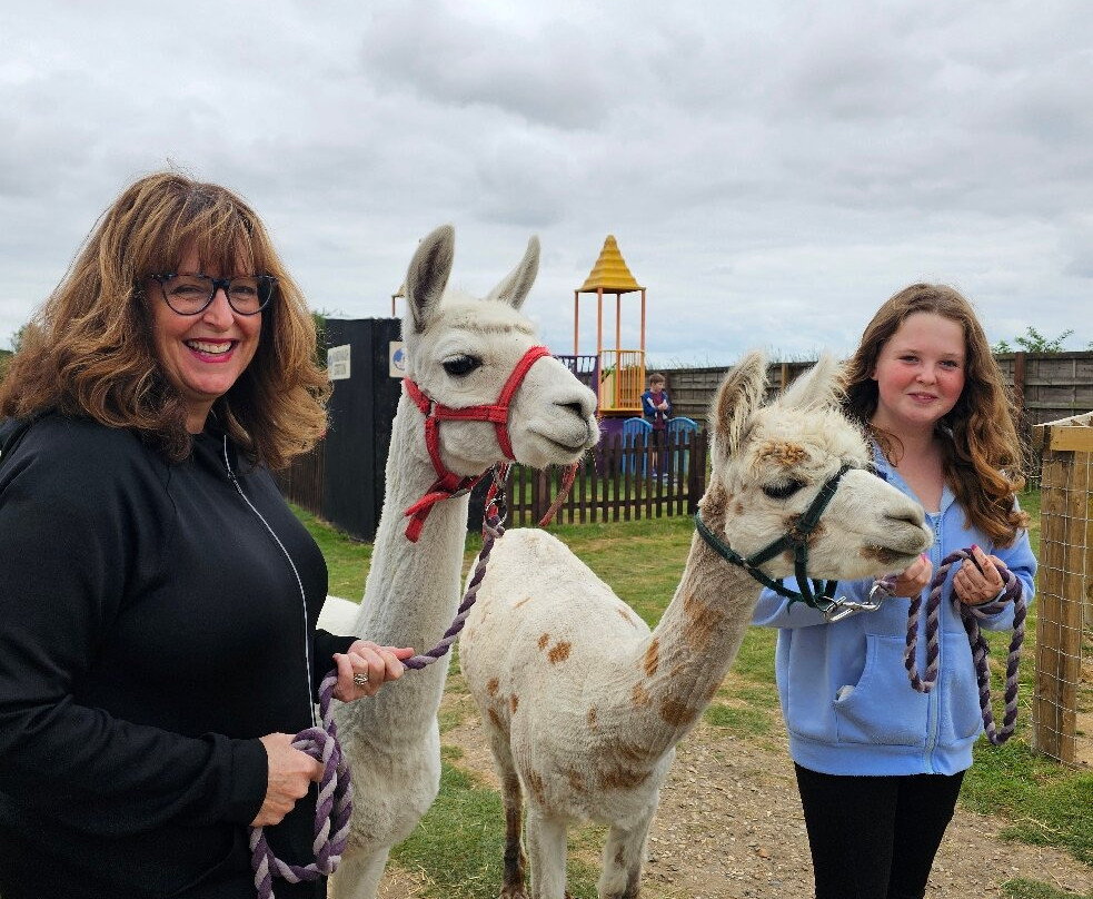 Oasis Camel Park-Halesworth必去景点