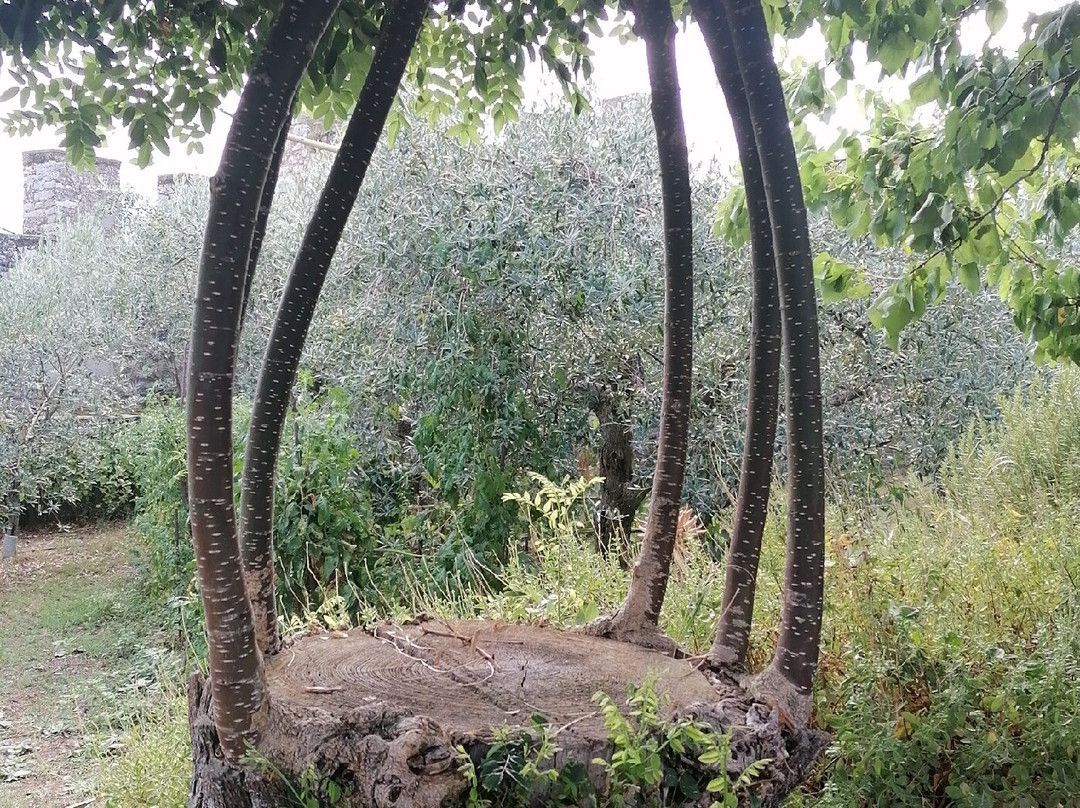 Castello di Montecchio Vesponi-菲奥伦蒂诺堡必去景点