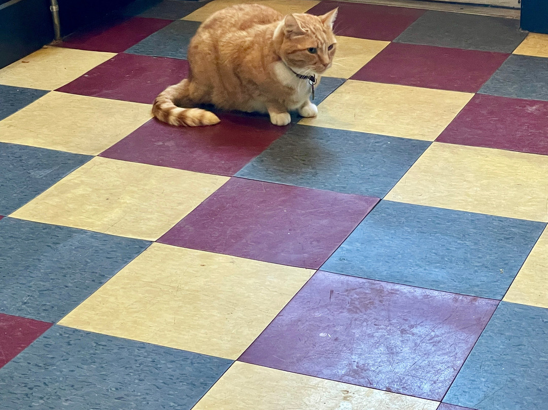 The Wells Hotel主图