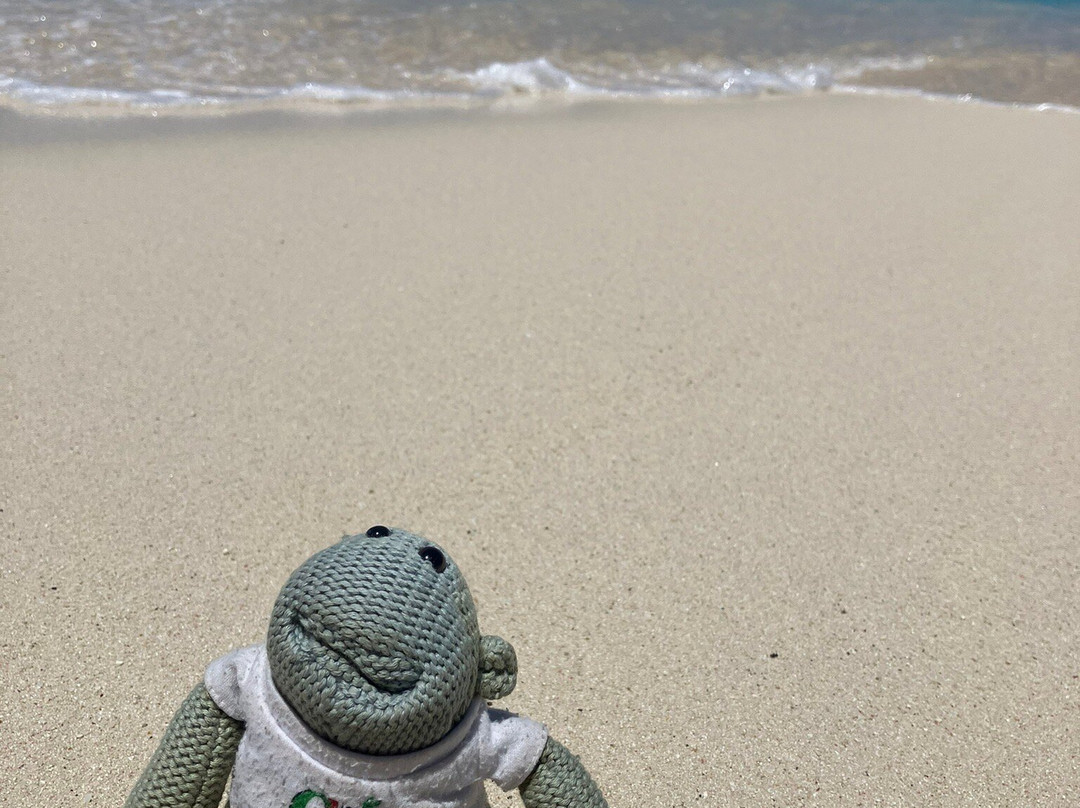 Cabbage Beach-拿骚必去景点