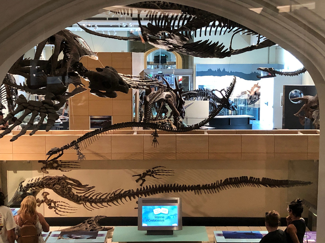 Canadian Museum Of Nature-渥太华必去景点