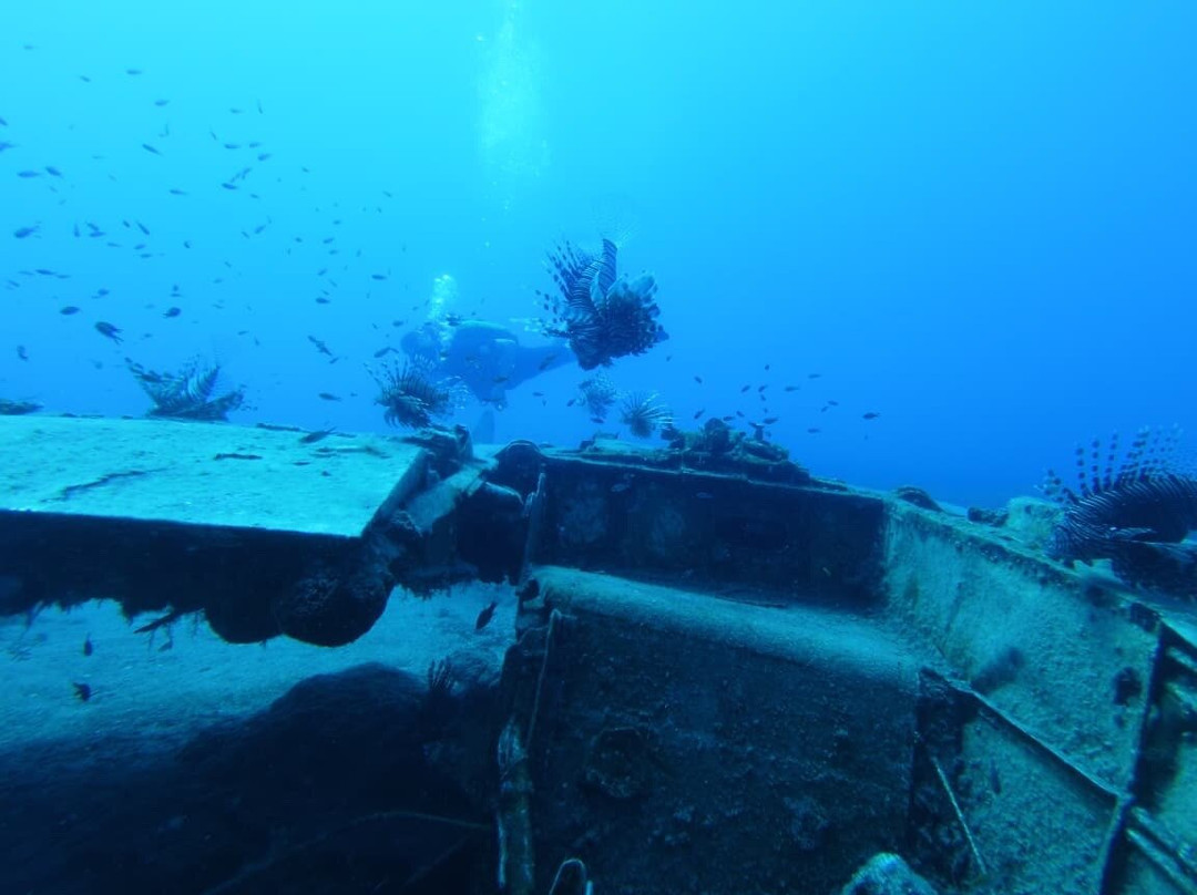 Coral Diving Crete-Anissaras必去景点