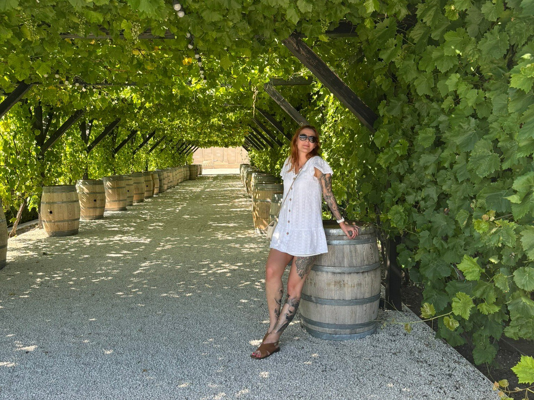 Castel Mimi Wine Resort-Bulboaca必去景点