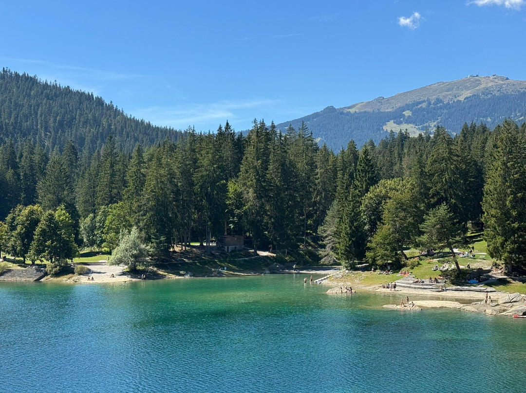 Ustria La Cauma