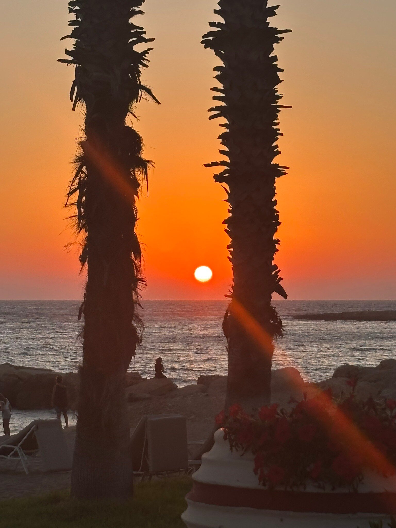 Louis Ledra Beach-官方