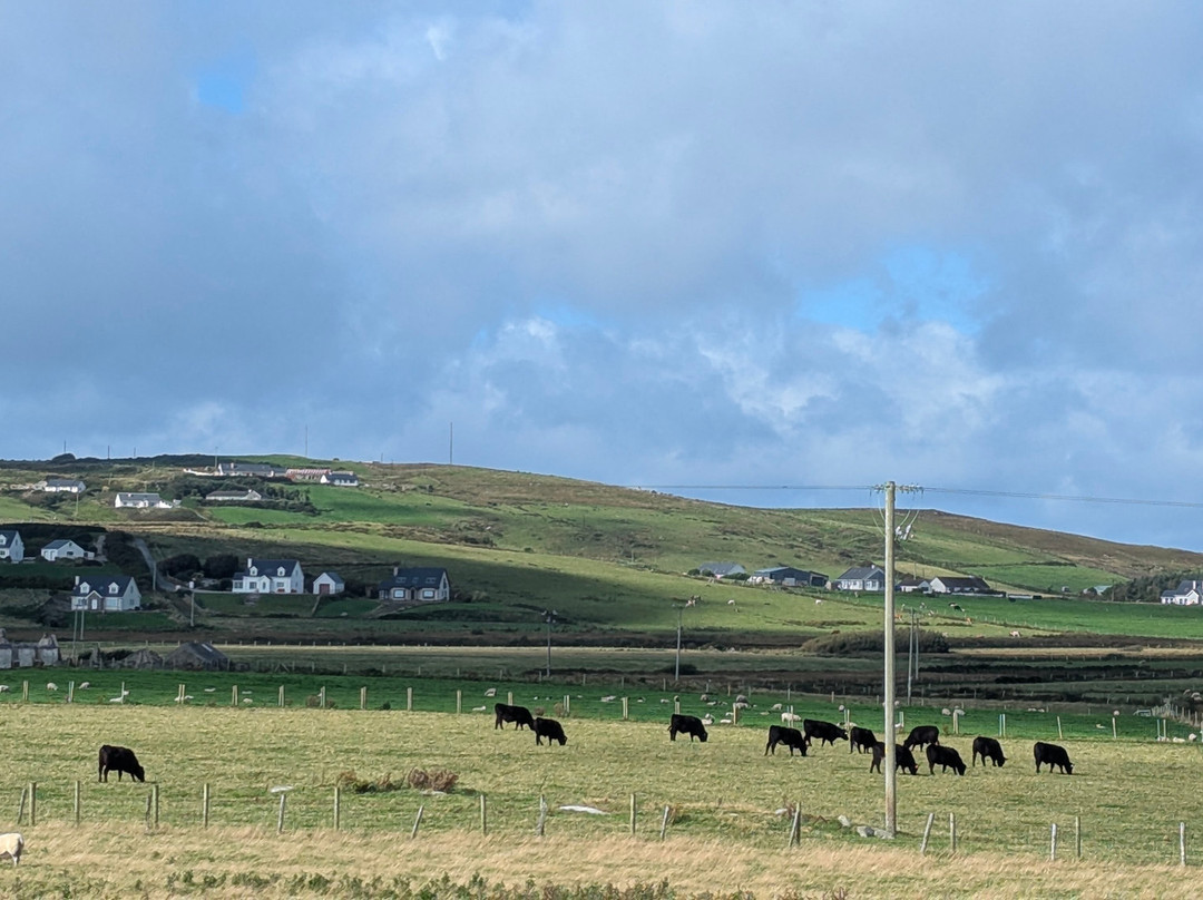 Whitestrand B&B主图