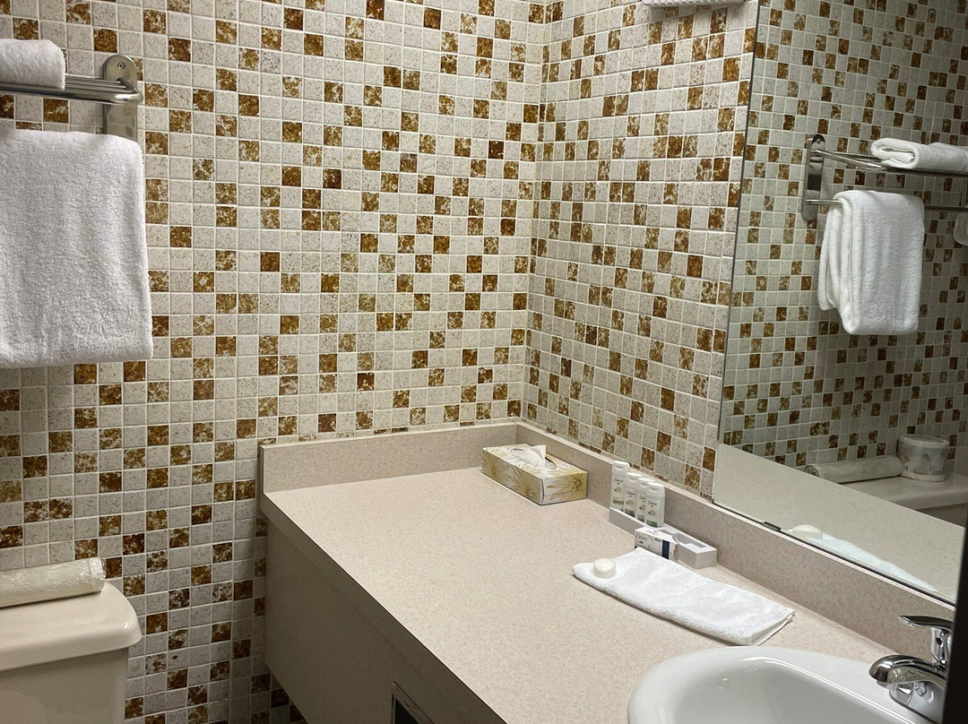 Stanford Inn Grande Prairie主图