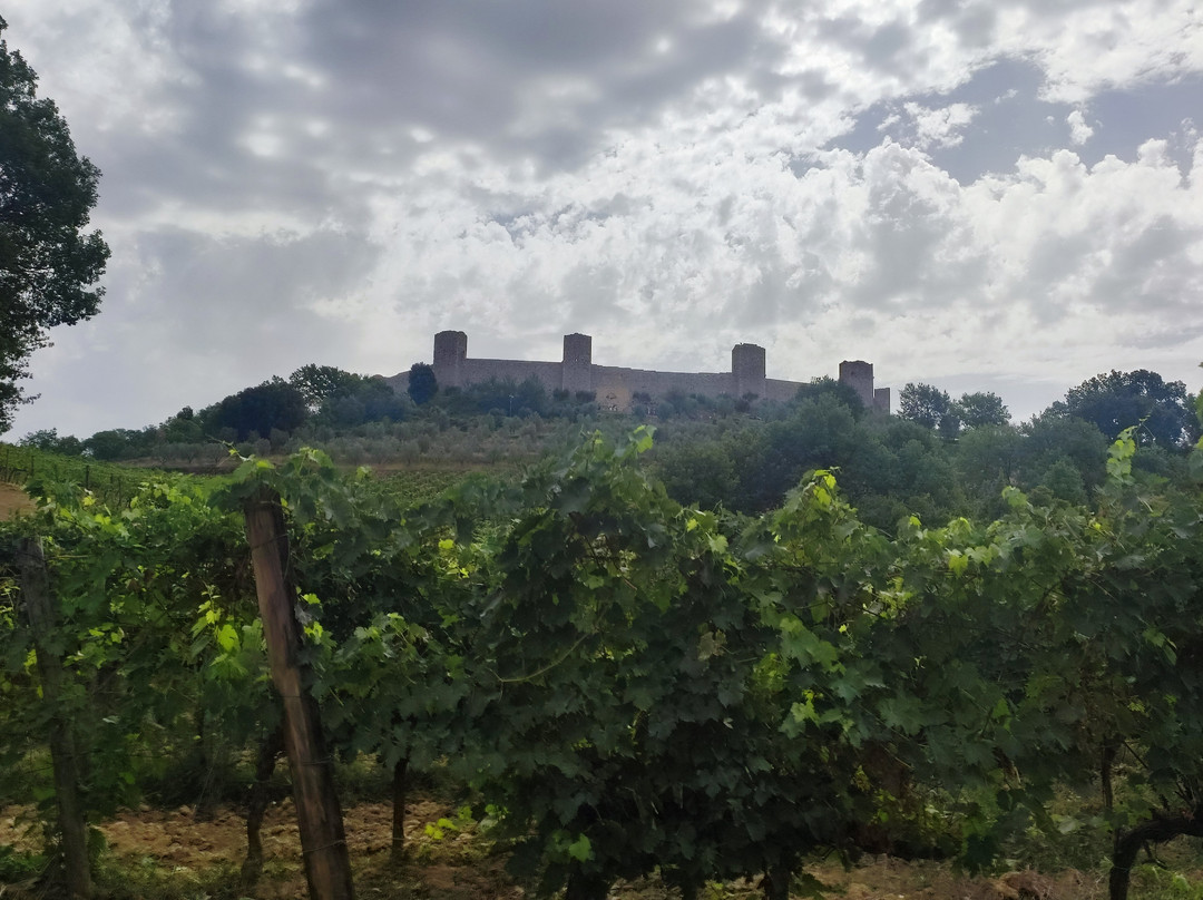 Fattoria Castello di Monteriggioni - Wine Shop-蒙特里久尼必去景点