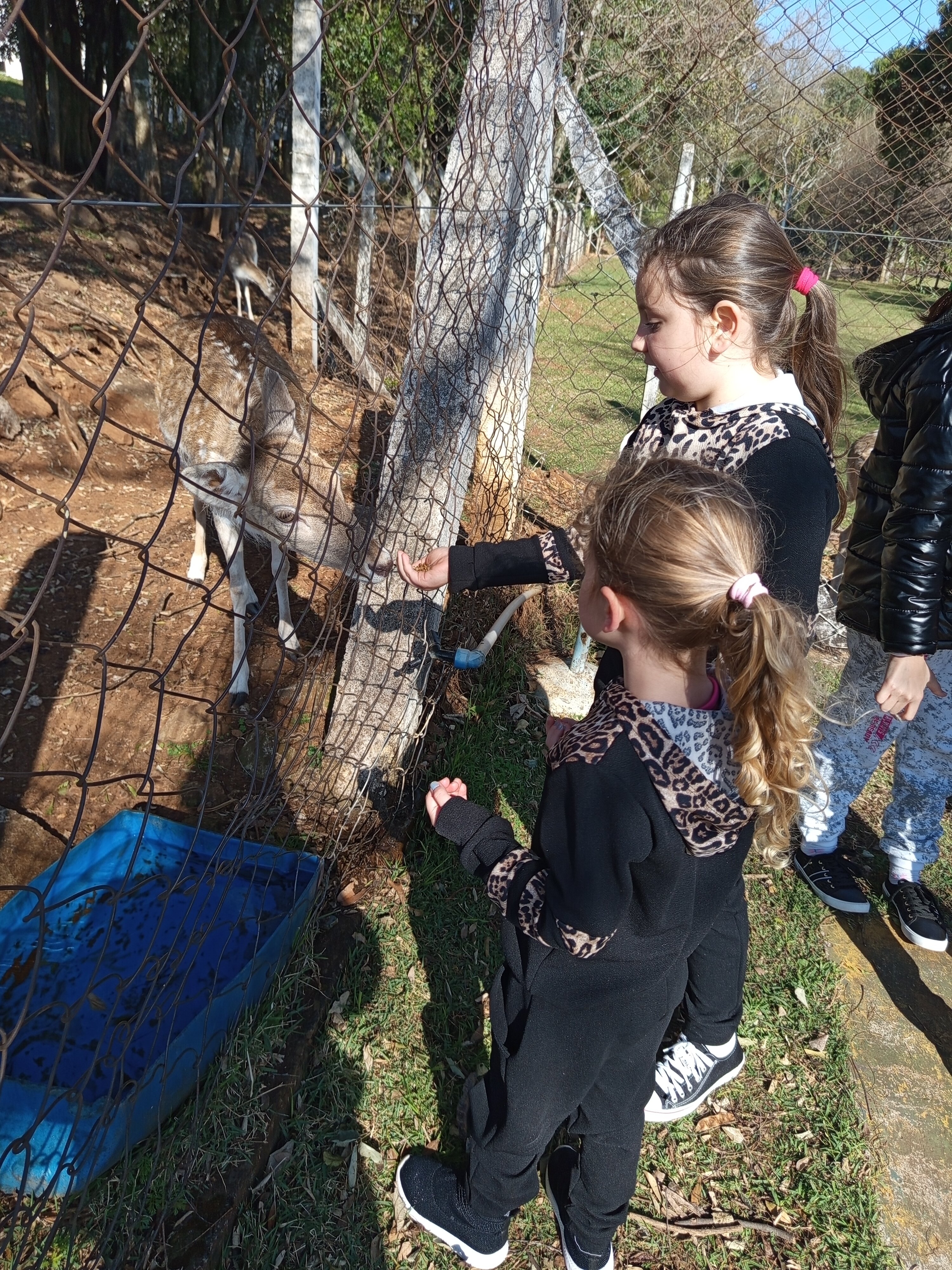 Maestro Termas Park Hotel-官方