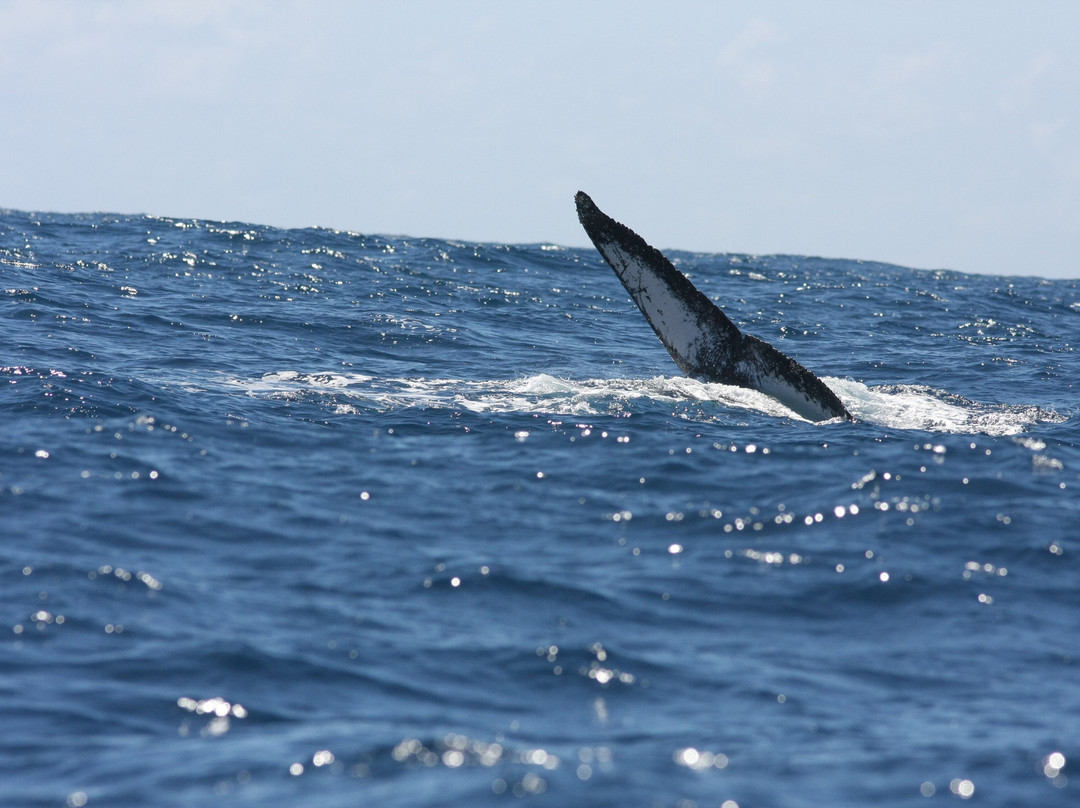 Ecosul Turismo-Ilheus必去景点