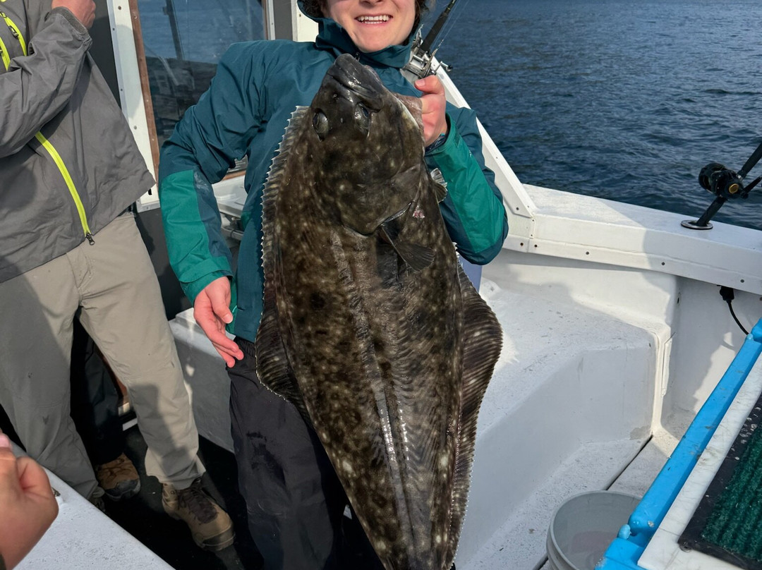 Blount Adventure Cruises-荷马必去景点