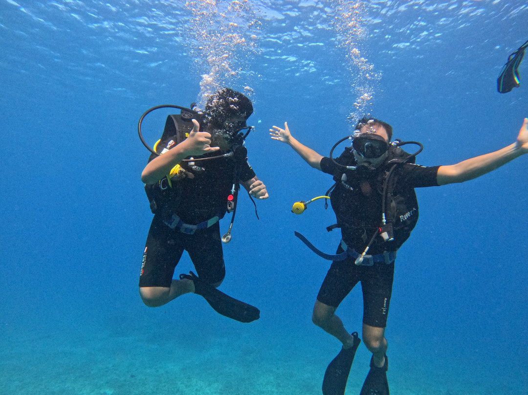 Divine Divers-Gili Meno必去景点