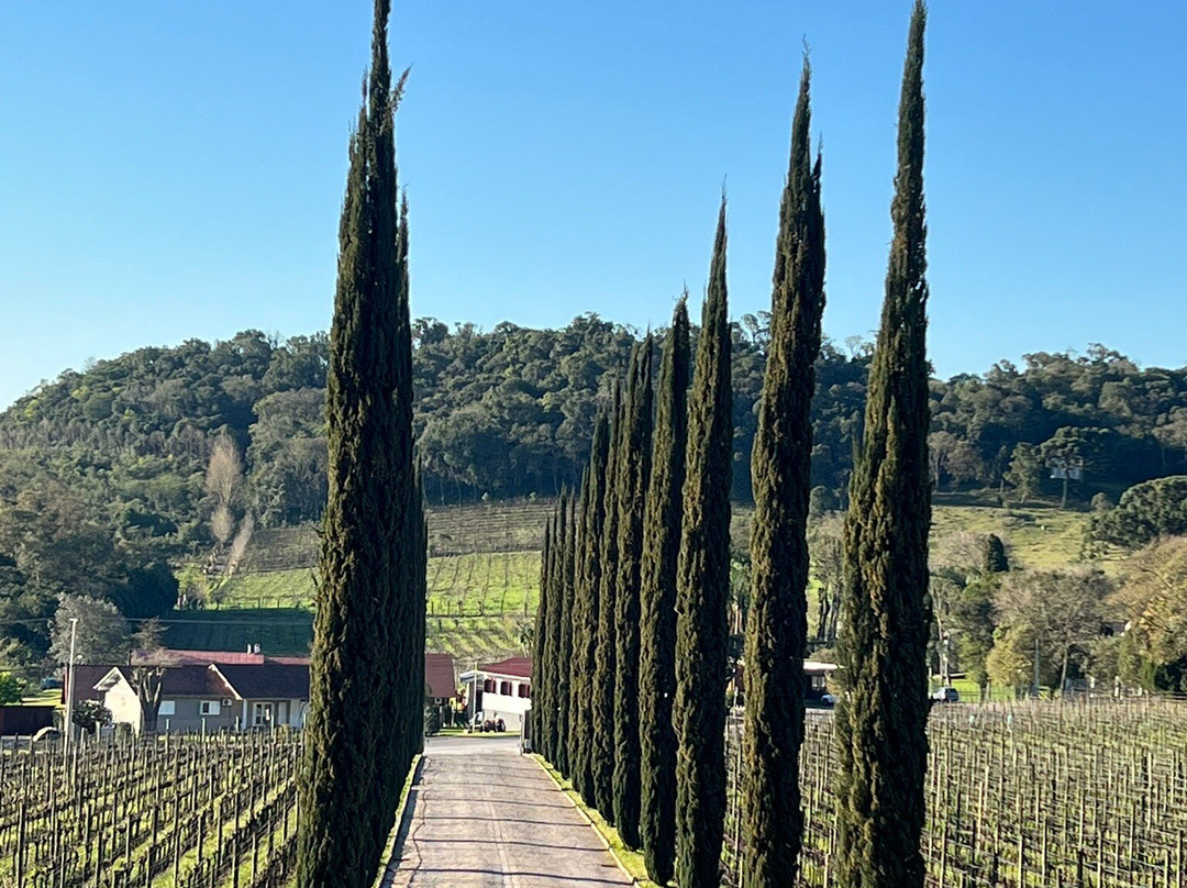 Almaunica Winerie-本图贡萨尔维斯必去景点