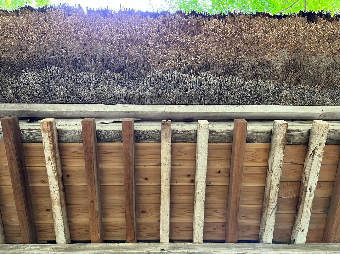 Nohakusan Shrine-糸鱼川市必去景点