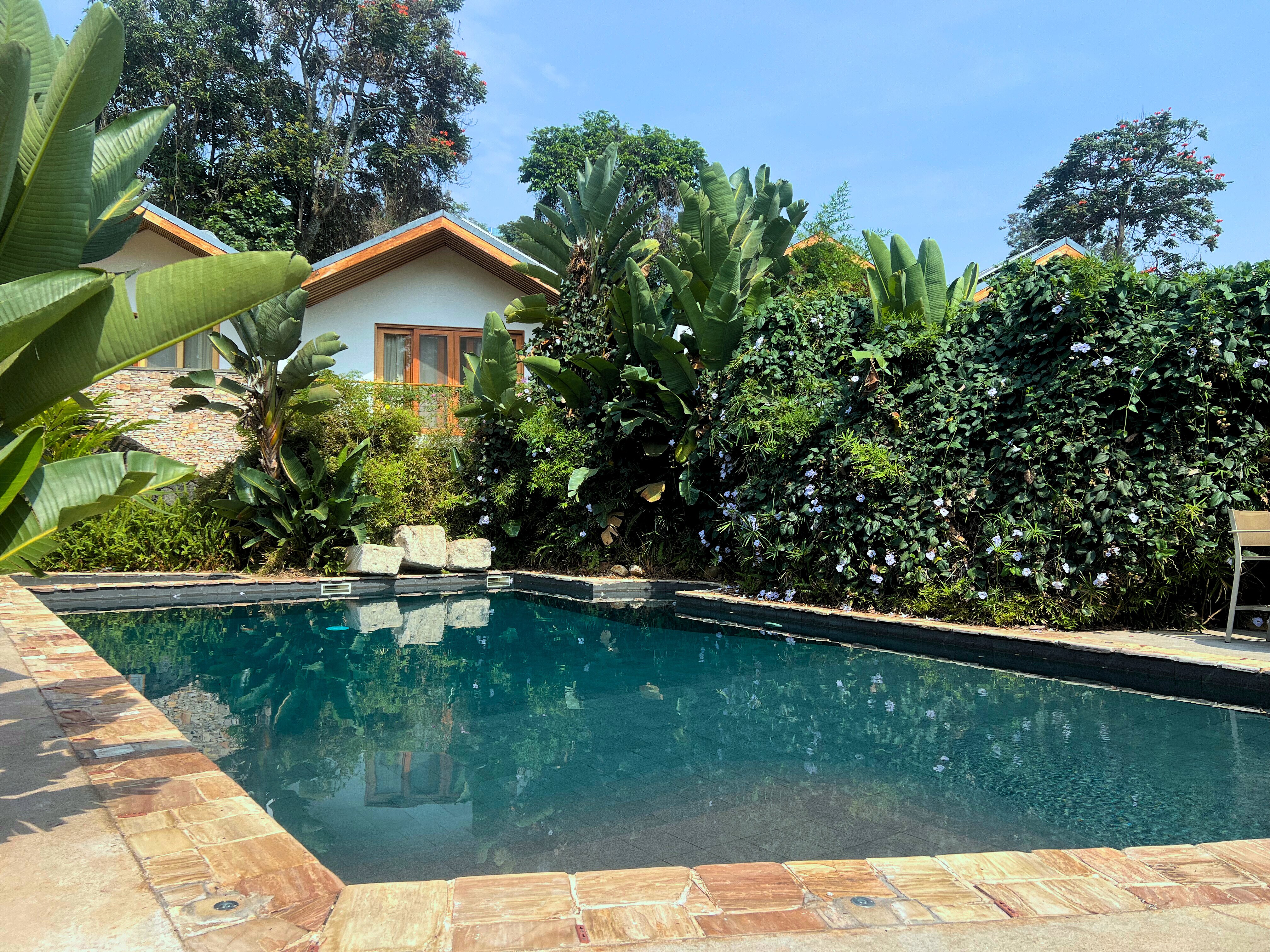 The Retreat-泳池