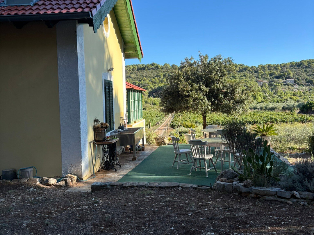 Vidovic Winery-维斯必去景点