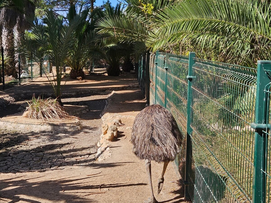 Quinta Das Palmeiras-Porto Santo Island必去景点