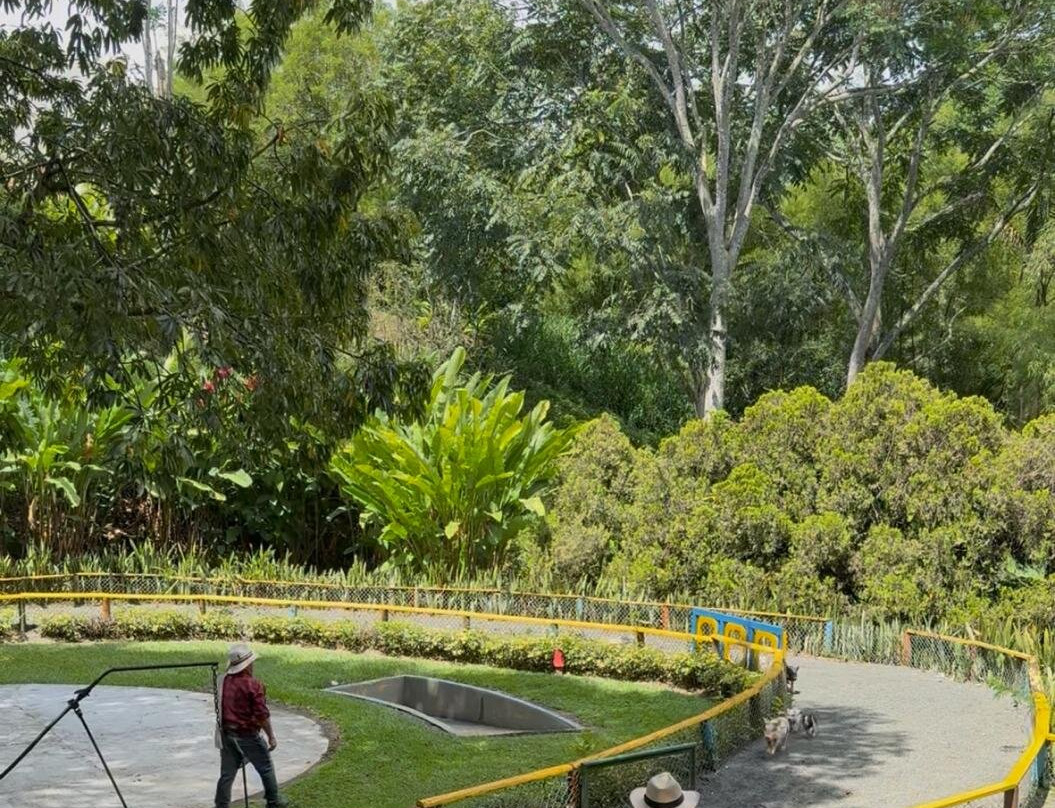 Panaca-Quimbaya必去景点