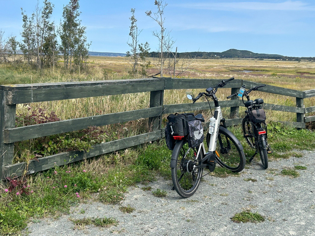 Parc Côtier Kiskotuk - Enr 627586-Riviere du Loup必去景点
