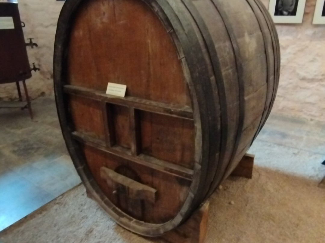 Musée de la Vigne et du Vin-Arbois必去景点