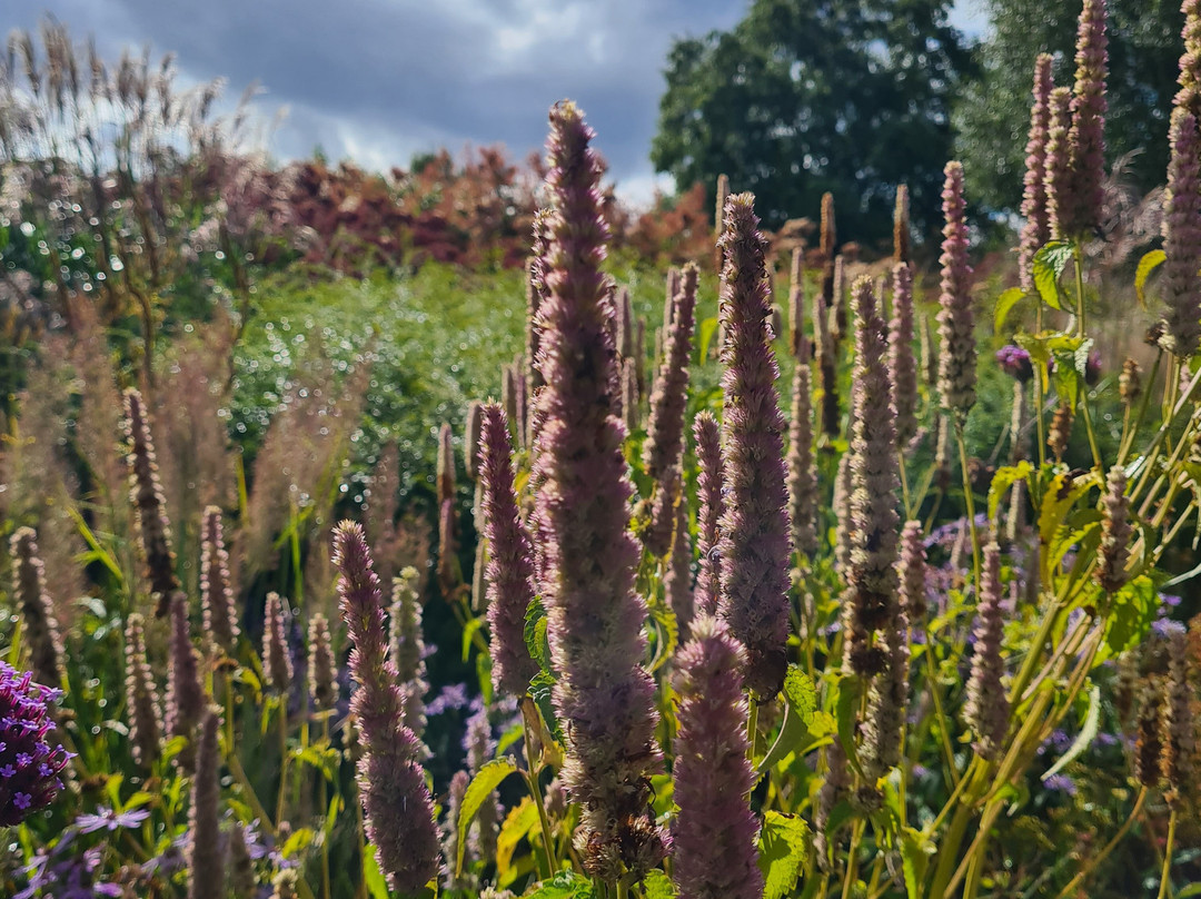 Pensthorpe-Fakenham必去景点