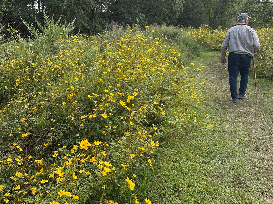 Amico Island Park-Delran必去景点