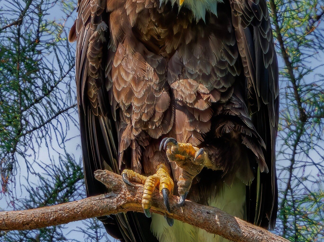 Reelfoot Lake State Park-Tiptonville必去景点