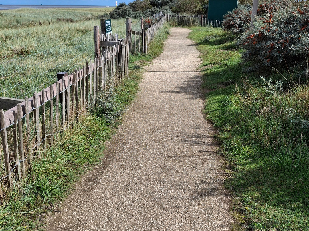 Donna Nook Nature Reserve-North Somercotes必去景点
