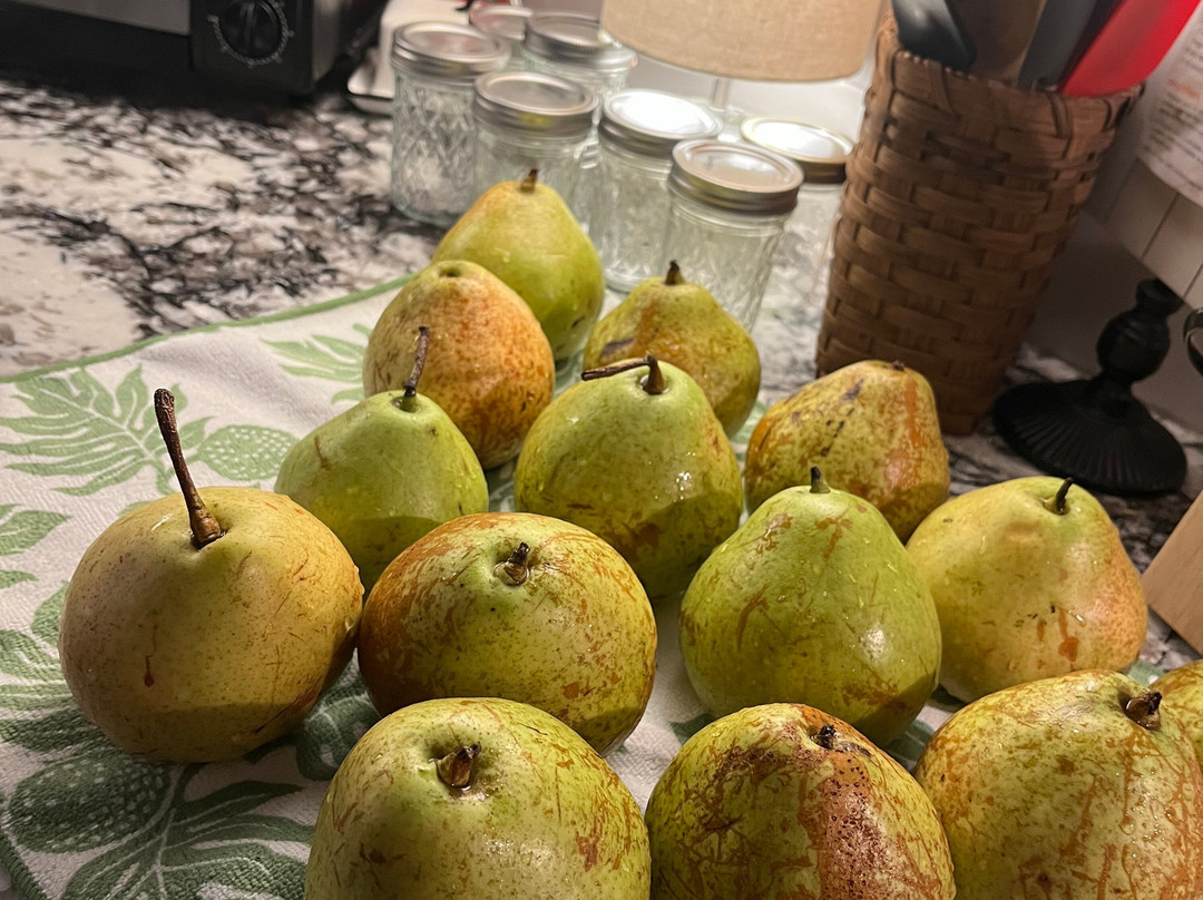 Drewry Farm & Orchards-Dover必去景点