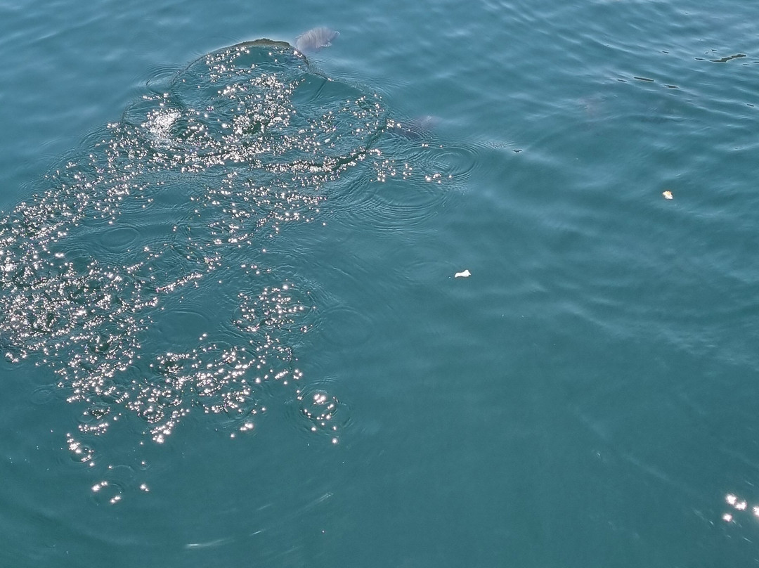 Lake Argyle Tours "Kimberley Durack"-库努纳拉必去景点
