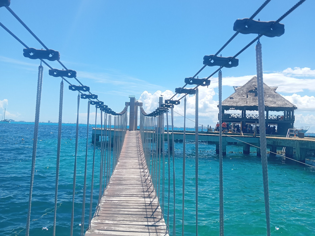 海豚发现秀-坎昆必去景点