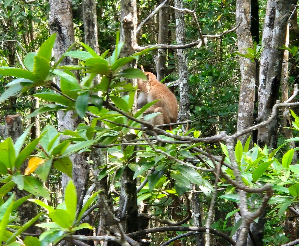 Karst Aways. Krabi Kayak Tour-Nong Thale必去景点