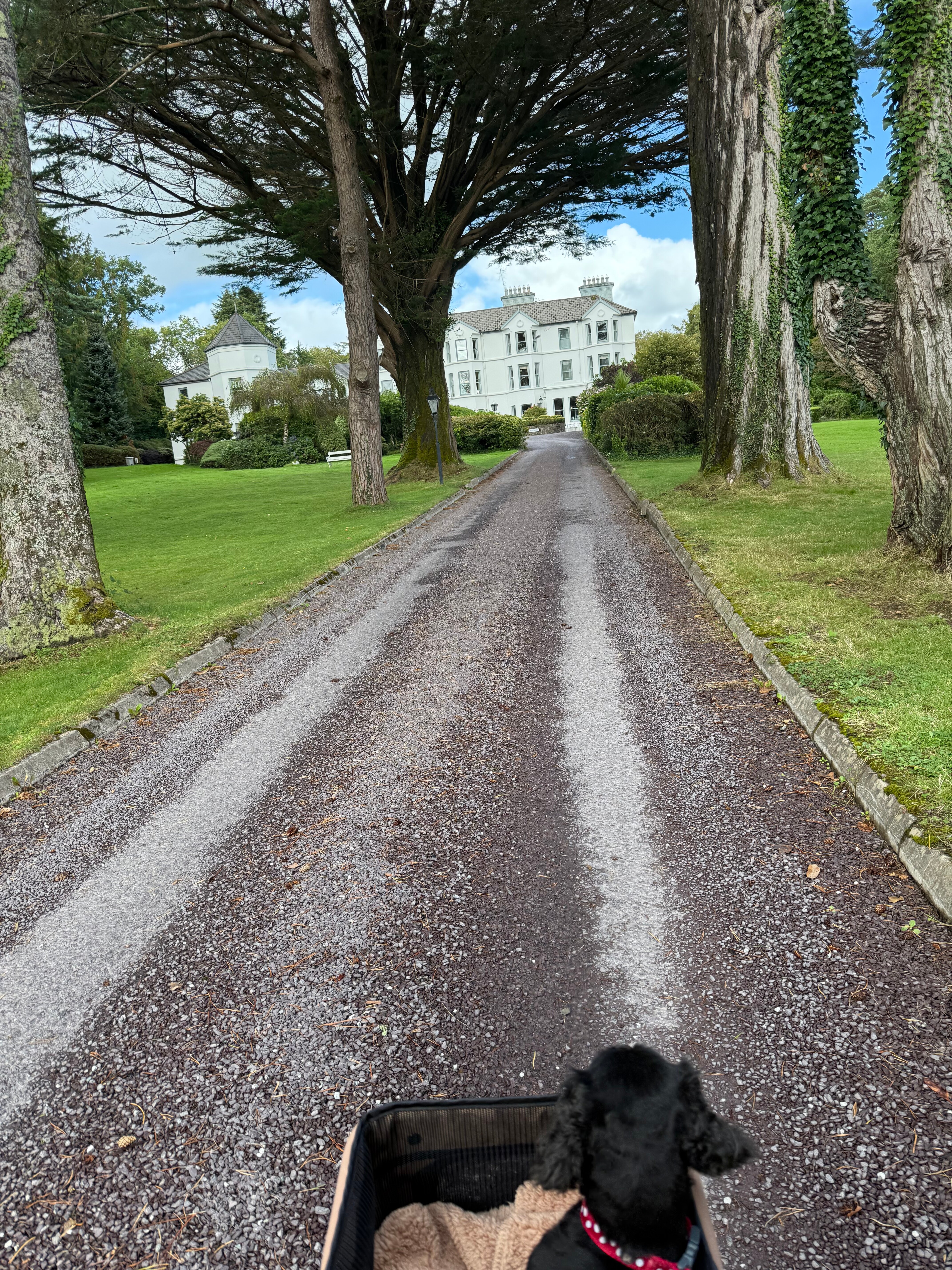 海景小屋酒店-浴室