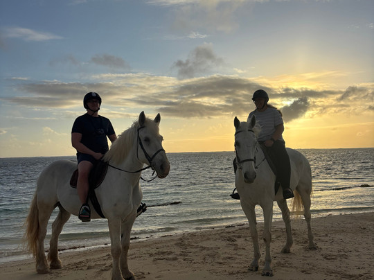Legasea Stables Mauritius-Quatre Cocos必去景点