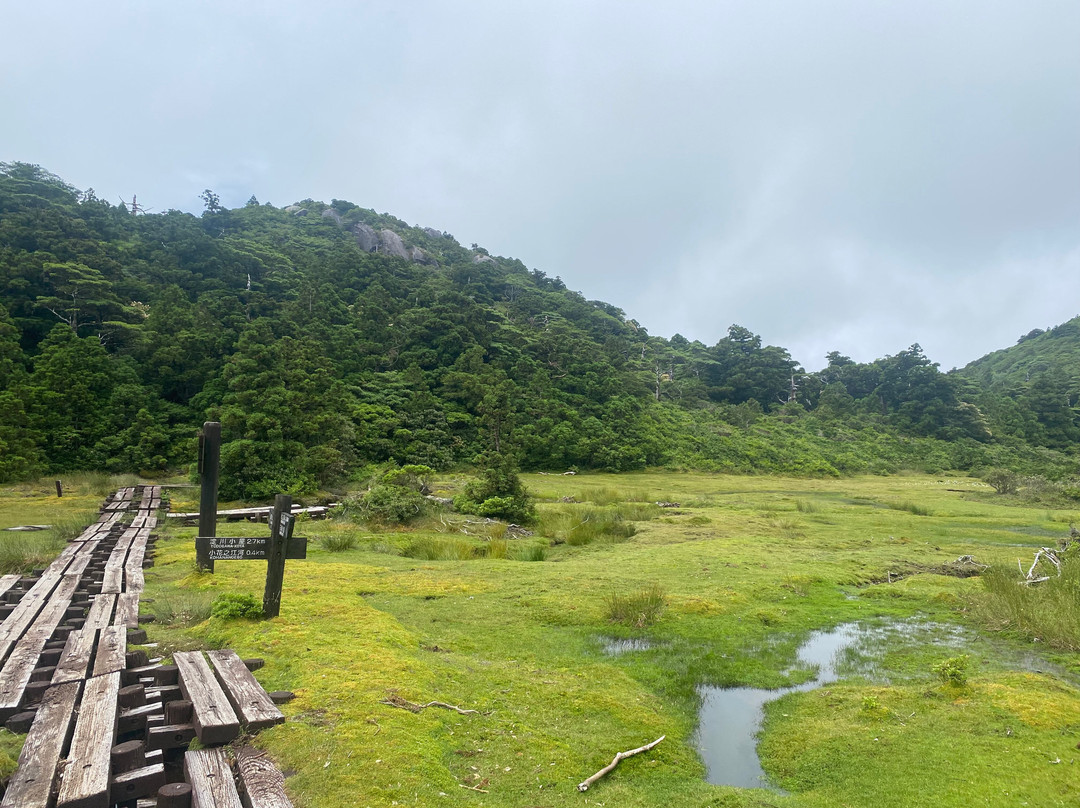 Yakushima Nature-屋久岛必去景点