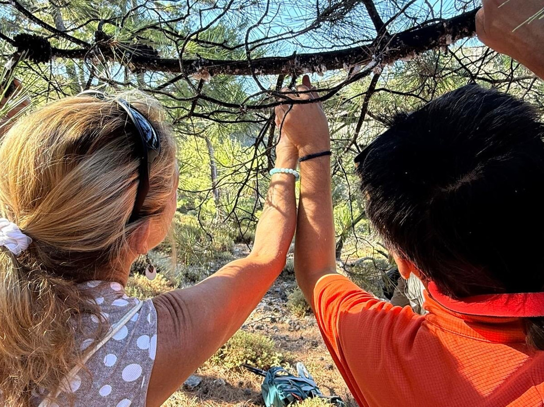 Ikarian Footprints-Ikaria必去景点