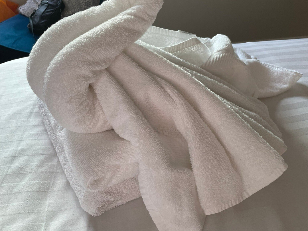 The Black Swan主图