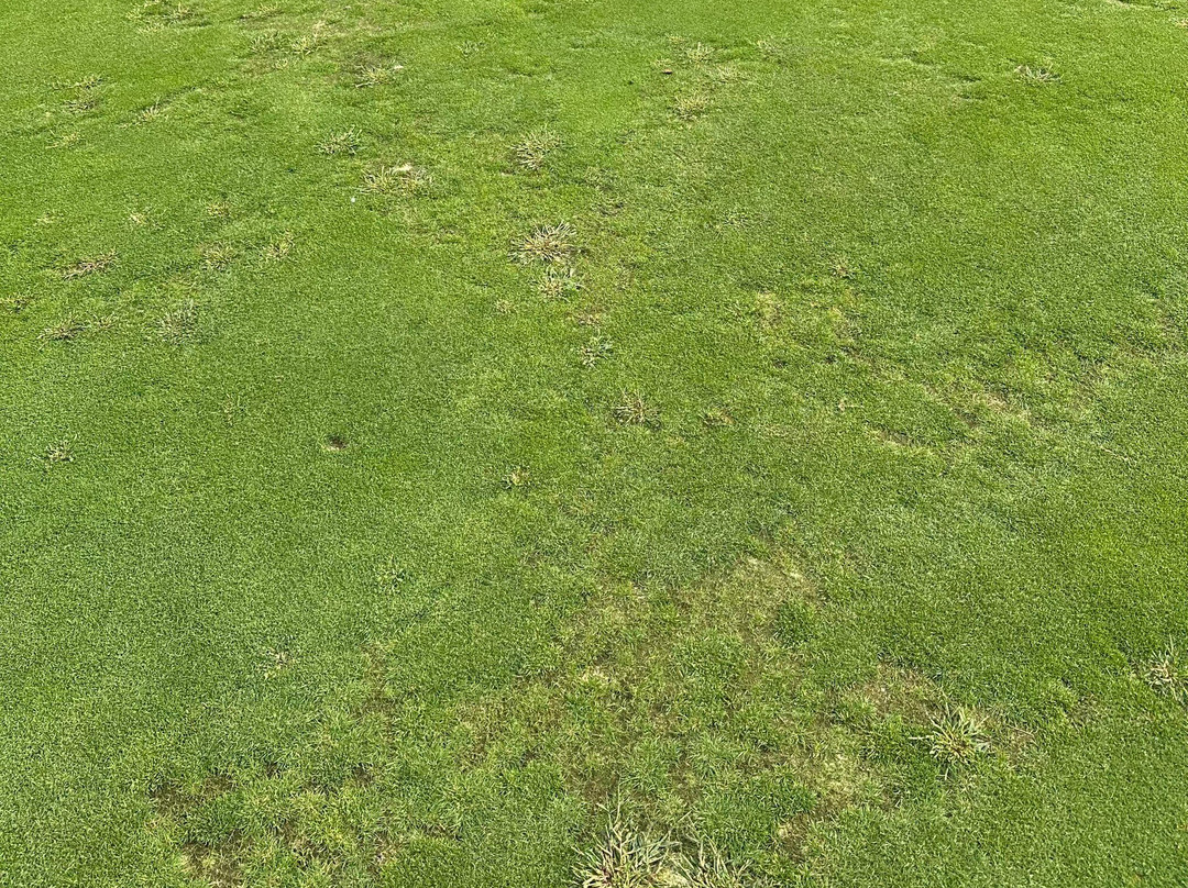 Chatuge Shores Golf Course-Hayesville必去景点