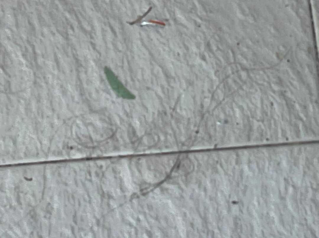 Corfu Aquamarine Hotel主图